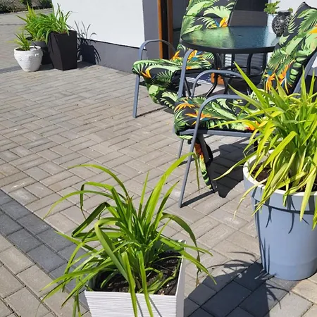 Goscinne Keja بيت ضيافة مينزفوجة